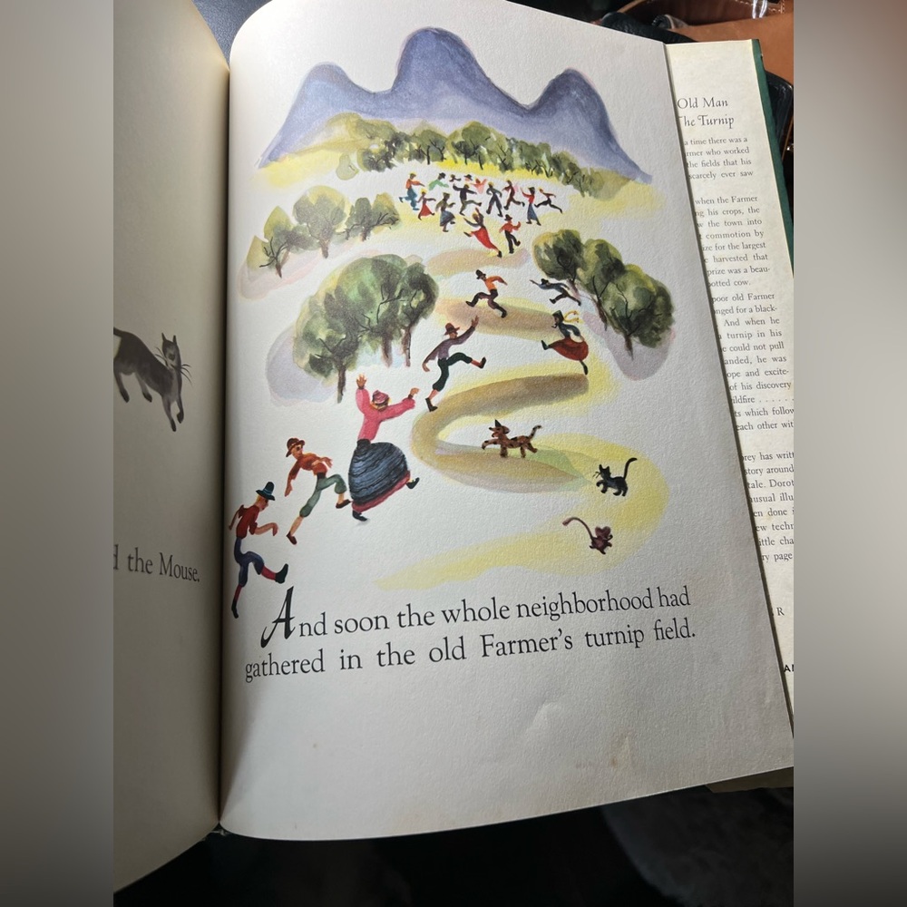 Gidappy Illustrated Children's Book - Picture 12 of 14